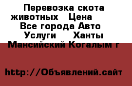 Перевозка скота животных › Цена ­ 39 - Все города Авто » Услуги   . Ханты-Мансийский,Когалым г.